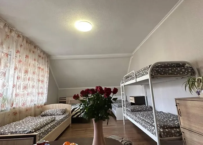 Vip Munkács